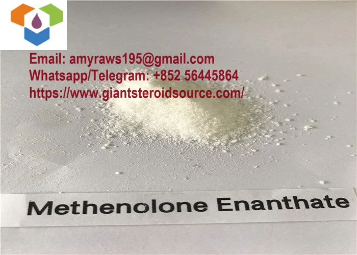 99.1% Haute pureté Injectable Stéroïde Anabolisant Methenolone Enanthate Poudre / Primobolan Depot