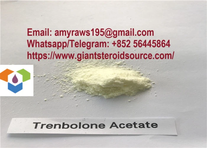 Poudre d'acétate de trenbolone